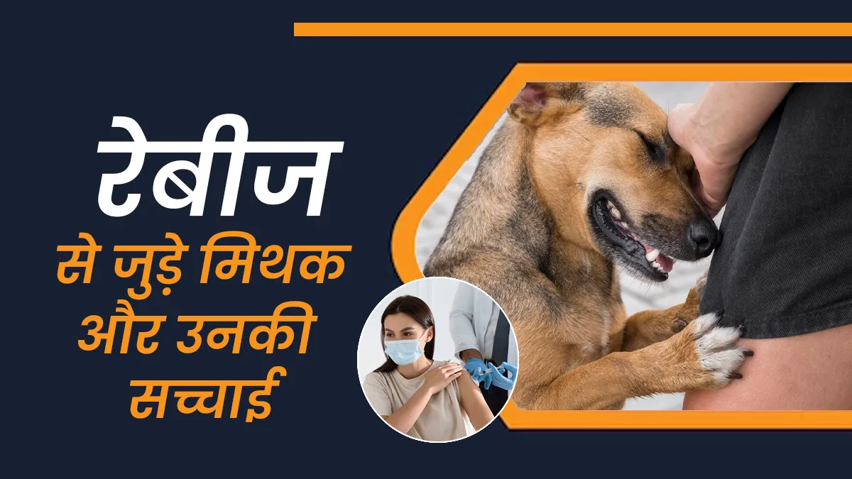 क्या वाकई रेबीज सिर्फ कुत्ते के काटने से होता है? जानें ऐसे 7 मिथकों की सच्चाई डॉक्टर से