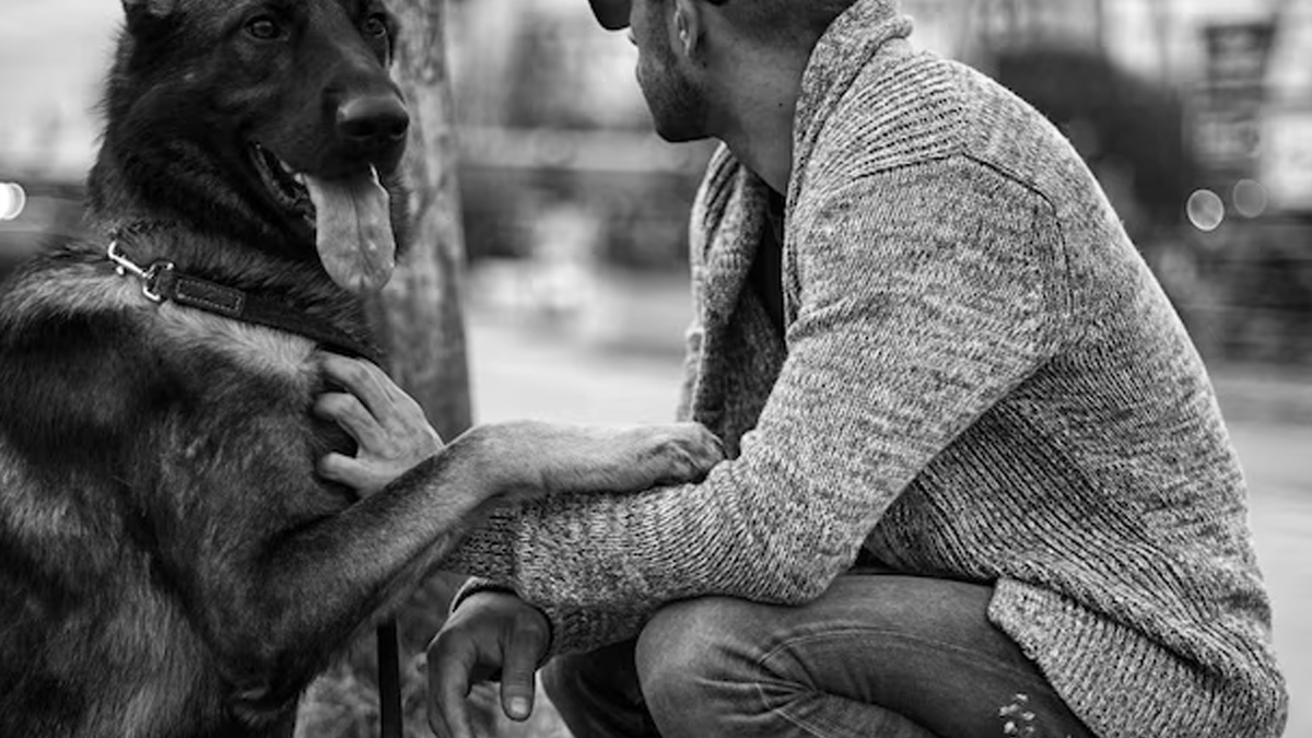 myths and facts of rabies in hindi expert