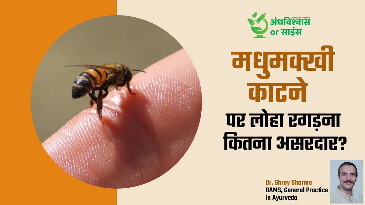 मधुमक्खी काटने पर लोहा रगड़ना वाकई फायदेमंद है या सिर्फ मिथ? डॉक्टर से जानें सच