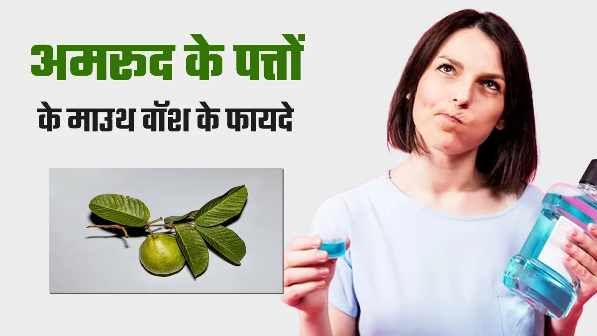 अमरूद के पत्तों से घर पर बनाएं नेचुरल माउथ वॉश, मुंह और दांतों को मिलेंगे फायदे