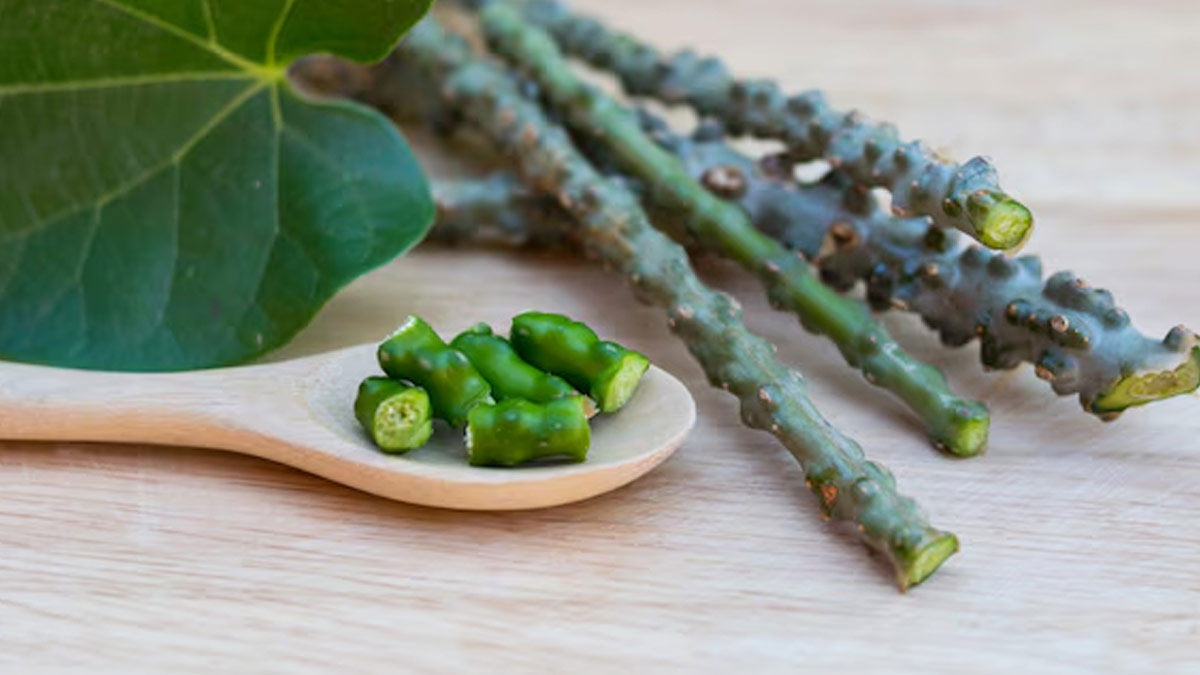 herbs for urine related problems in blood sugar in hindi 01 (5)