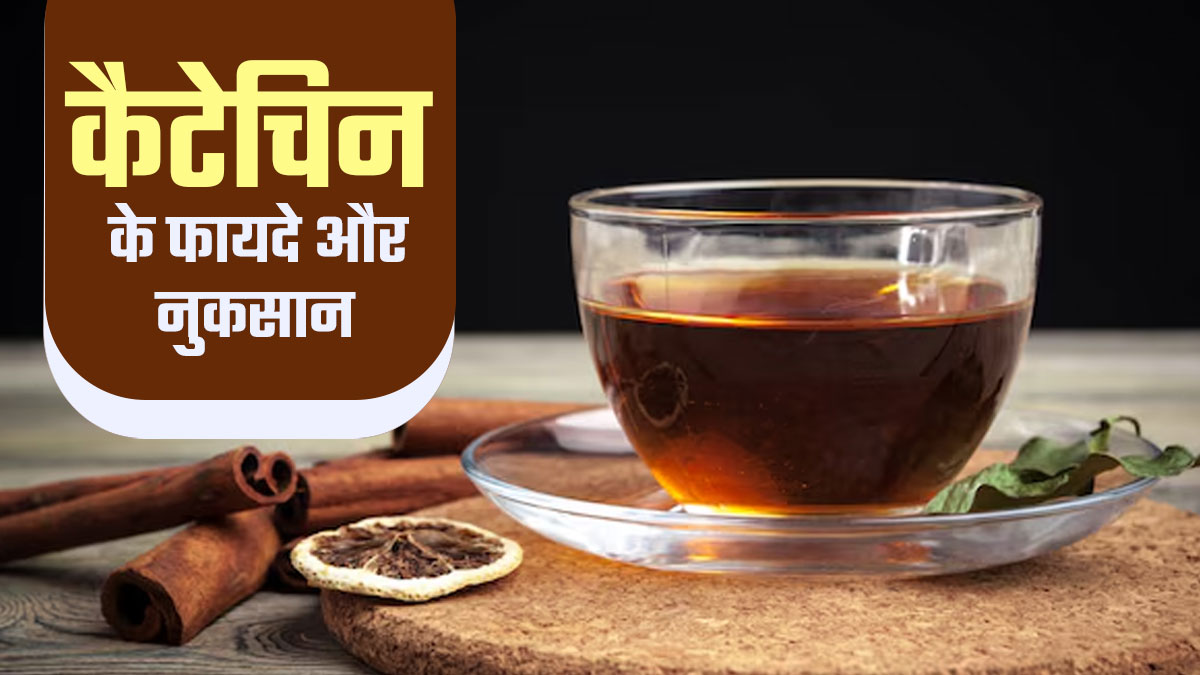 चाय के अलावा इन चीजों में भी होता है कैटेचिन? जानें इसके फायदे और नुकसान