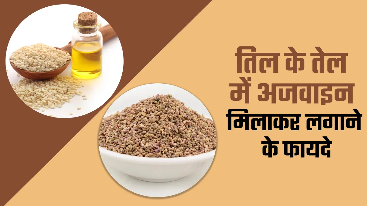 तिल के तेल में अजवाइन मिलाकर लगाने के फायदे, आयुर्वेदिक डॉक्टर से जानें