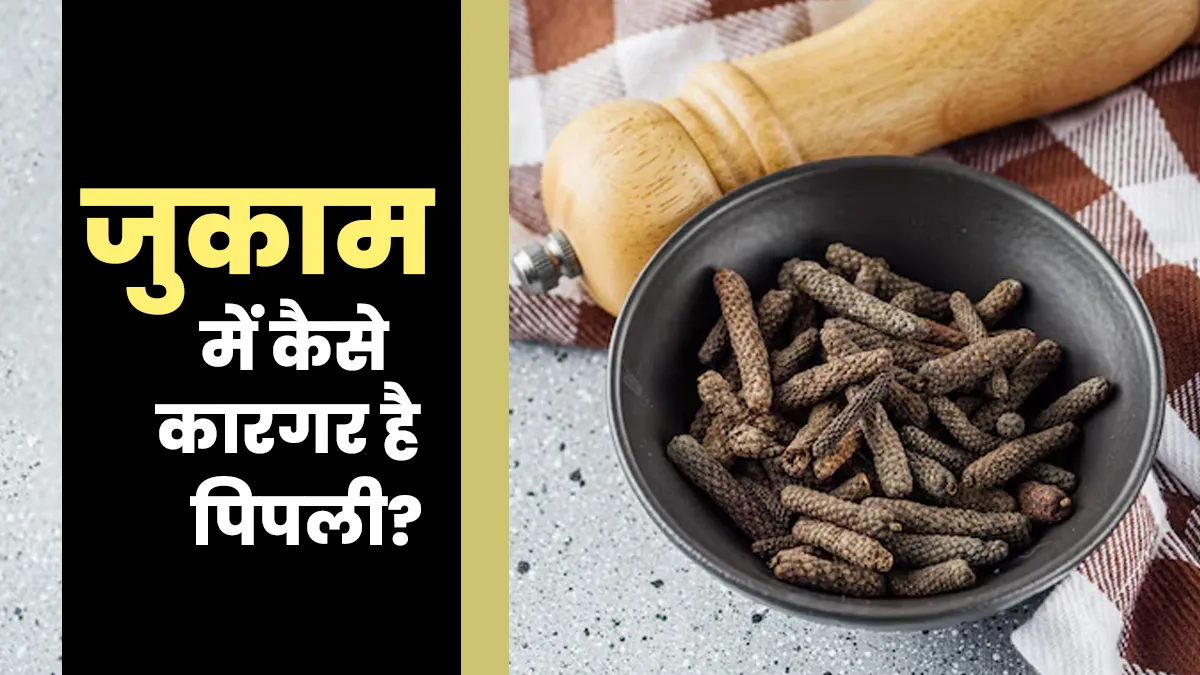 लंबे समय तक जुकाम रहने पर कैसे कारगर है पिपली? एक्सपर्ट से जानें