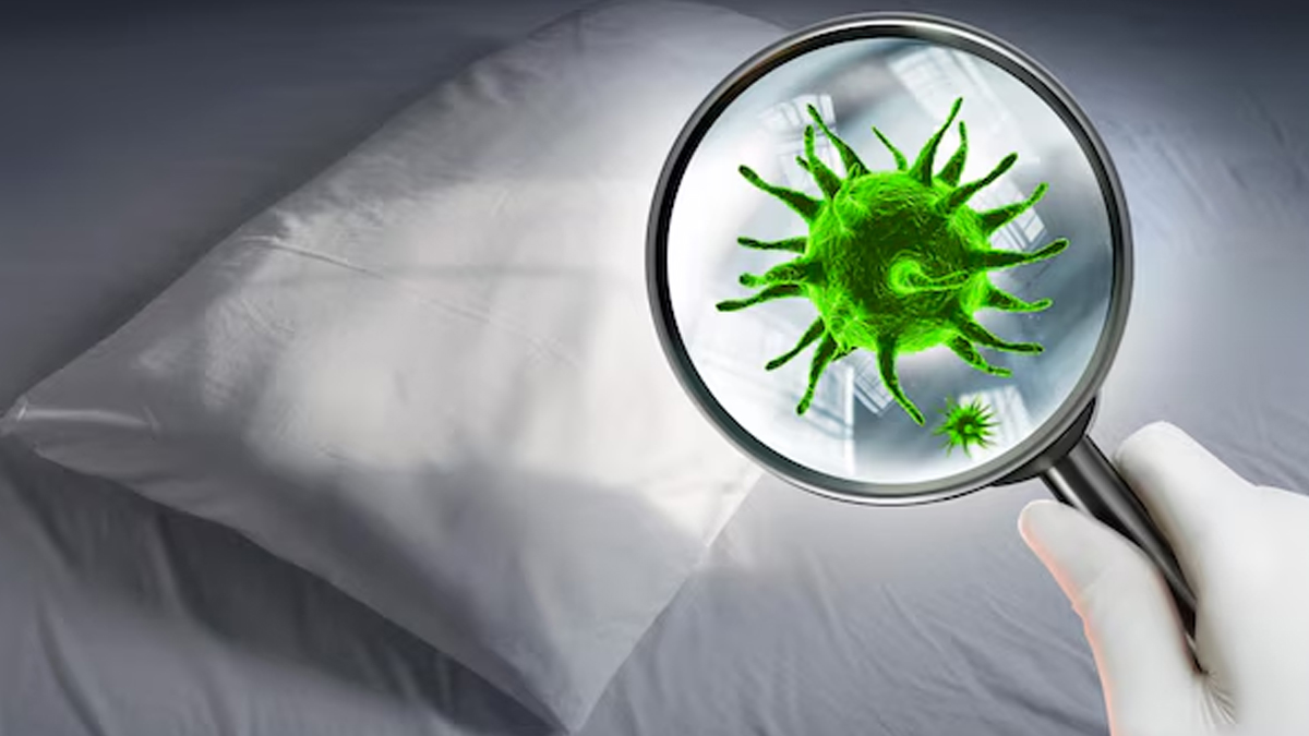 Nightmare bacteria in hindi