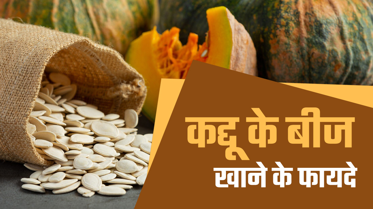 जब आप रोज कद्दू के बीज खाते हैं तो आपके शरीर में क्या होता है? खुद एक्सपर्ट ने बताया