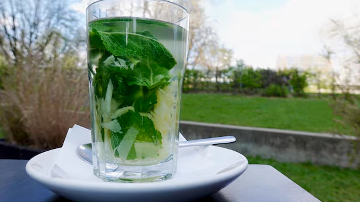 tulsi water in hindi experts