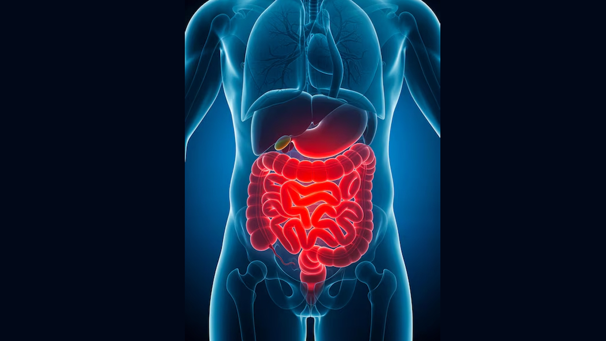 do stomach worms affect the intestines in hindi 01 (5)