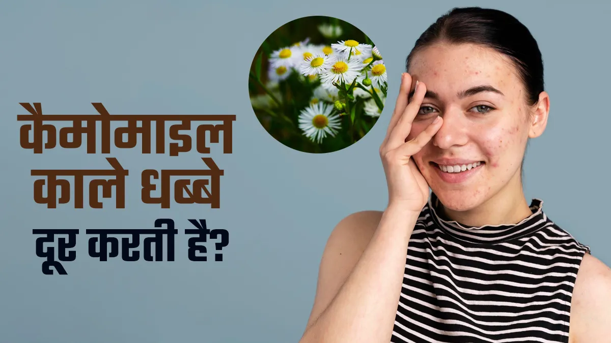 क्या कैमोमाइल काले धब्बे दूर करती है? एक्सपर्ट से जानें पिग्मेंटेशन में ये कितना कारगर 
