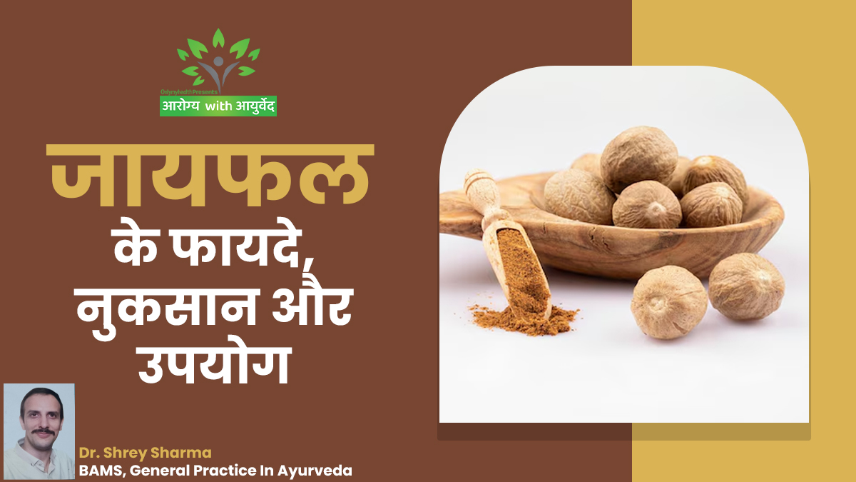औषधीय गुणों से भरपूर है जायफल, जानें इसके फायदे, नुकसान और इस्तेमाल का तरीका
