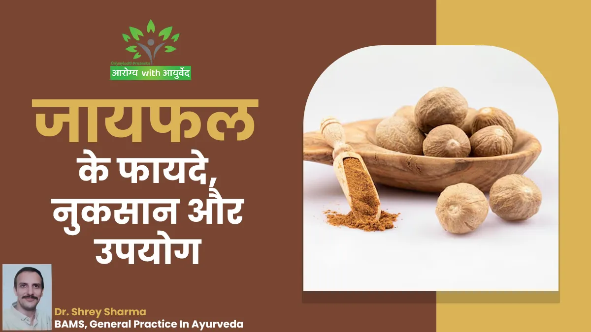 औषधीय गुणों से भरपूर है जायफल, जानें इसके फायदे, नुकसान और इस्तेमाल का तरीका