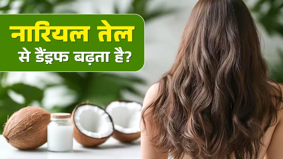 क्या नारियल तेल लगाने से बालों में डैंड्रफ बढ़ता है? एक्‍सपर्ट से जानें