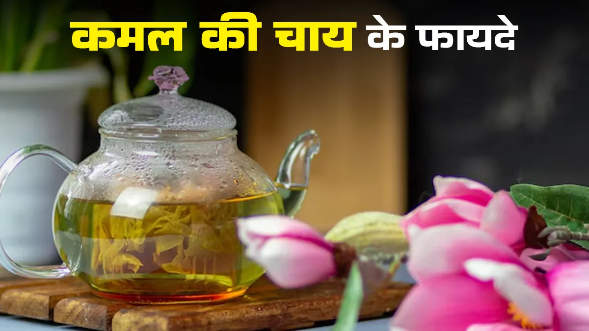 हॉट फ्लैश की समस्या में फायदेमंद है कमल की पंखुड़ी की चाय, आयुर्वेदाचार्य से जानें फायदे