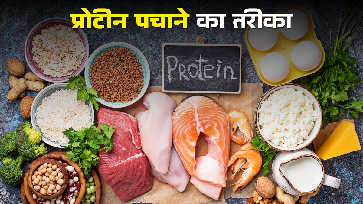 प्रोटीन को पचाने के लिए क्या करना चाहिए? डॉक्टर से जानें इसे पचाने का तरीका