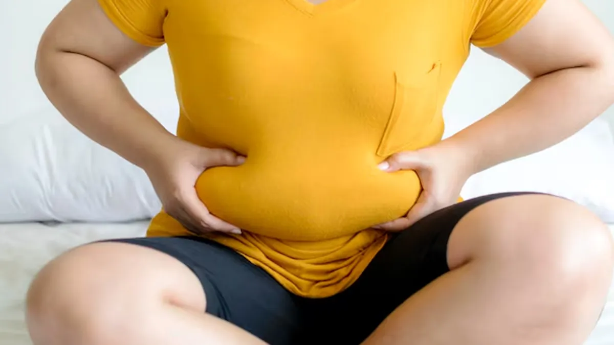 पेट में जमा फैट (Visceral Fat) है सेहत का दुश्‍मन, जानें 5 खतरे और बचाव के उपाय