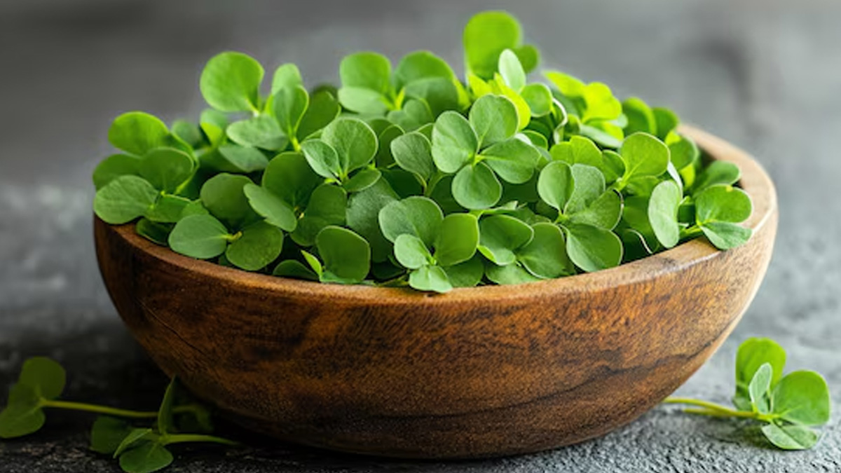 does brahmi improve memory