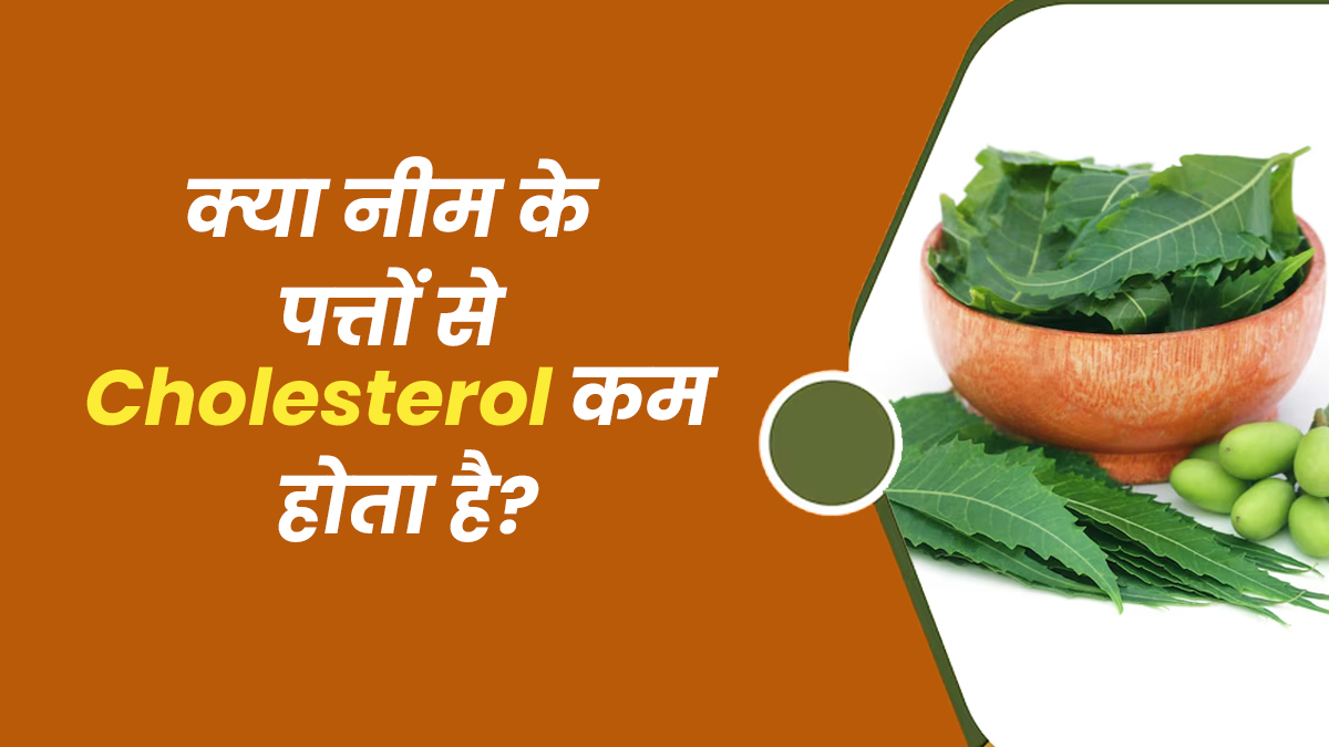क्या नीम के पत्ते खाने से कोलेस्ट्रॉल कम होता है? जानें क्या है सच्चाई