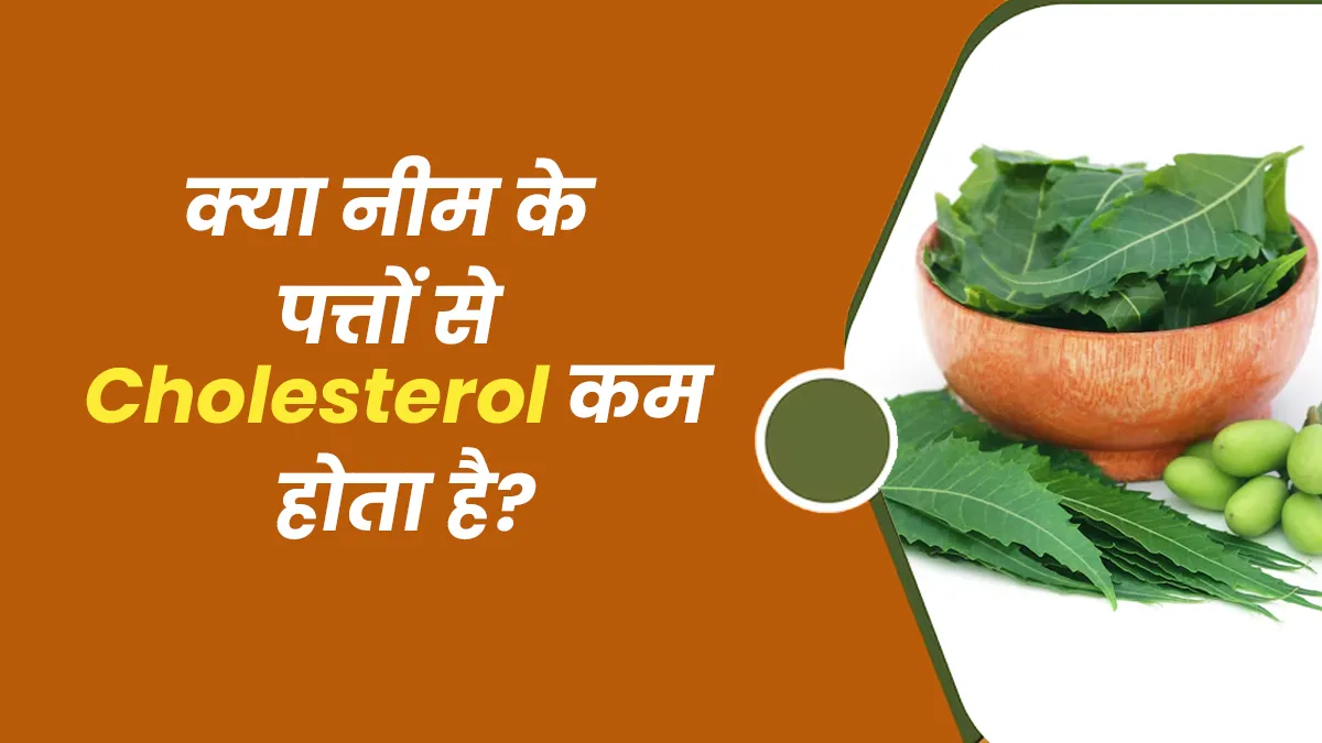 क्या नीम के पत्ते खाने से कोलेस्ट्रॉल कम होता है? जानें क्या है सच्चाई