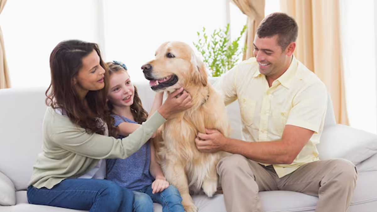 pets reduce stress hormones