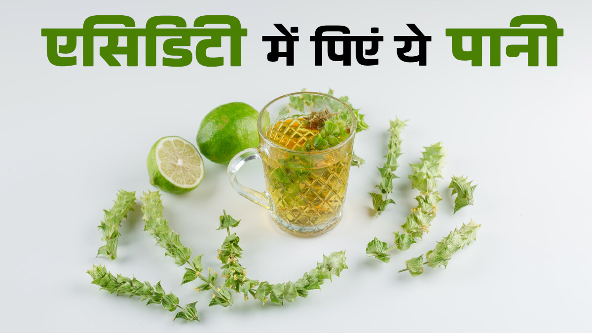 एसिडिटी का कारगर देसी उपचार है ये, बस अजवाइन के पत्तों को उबालकर पी लें