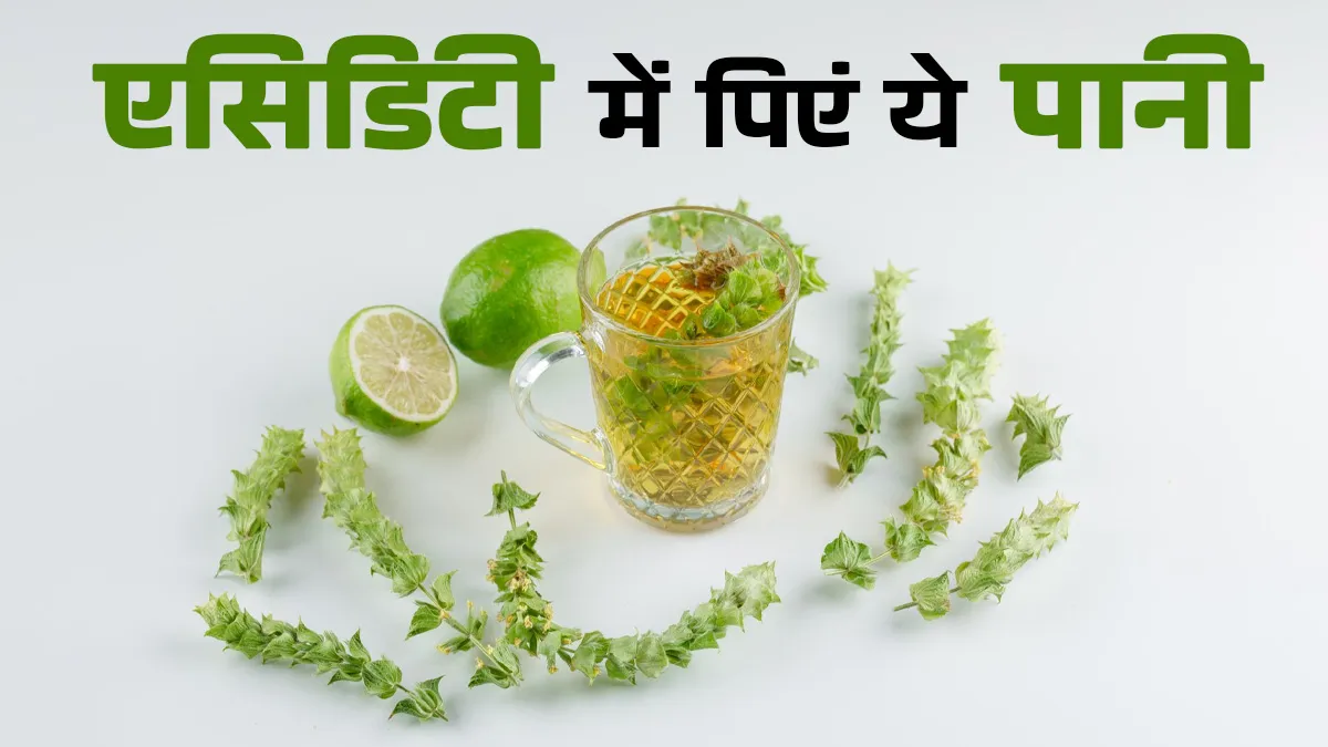 एसिडिटी का कारगर देसी उपचार है ये, बस अजवाइन के पत्तों को उबालकर पी लें