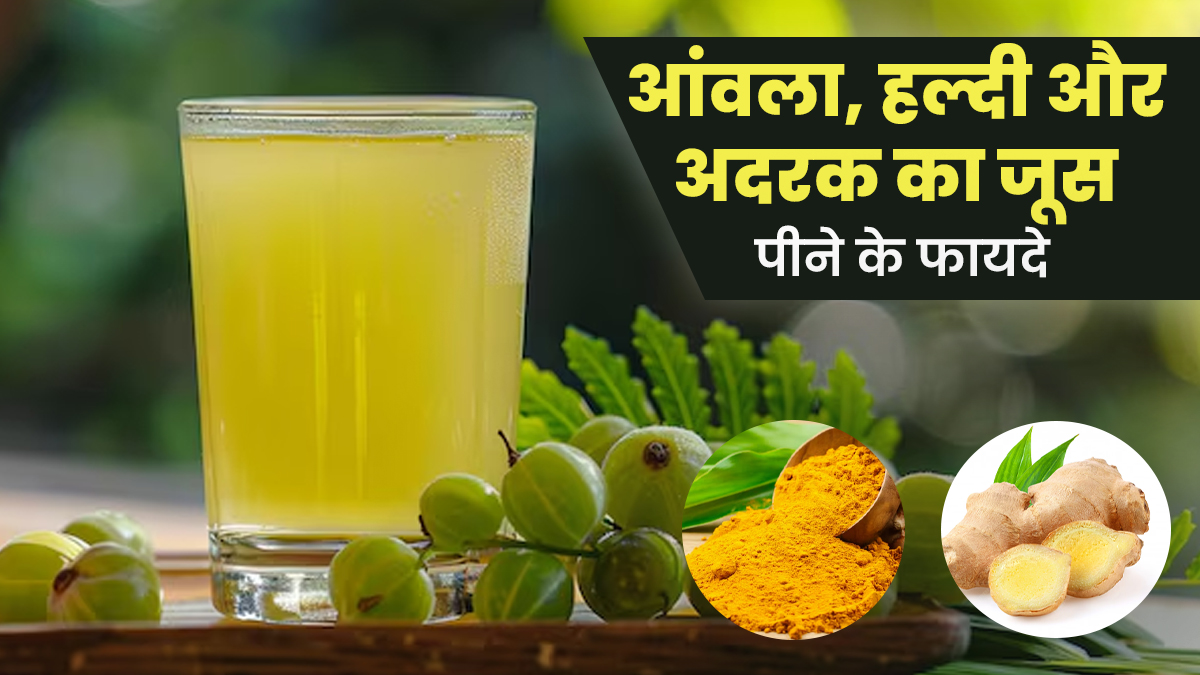 आंवला, हल्दी और अदरक का जूस पीने के क्या फायदे हैं? आयुर्वेदिक डॉक्टर से जानें