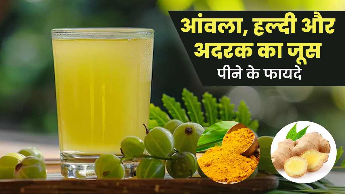 आंवला, हल्दी और अदरक का जूस पीने के क्या फायदे हैं? आयुर्वेदिक डॉक्टर से जानें