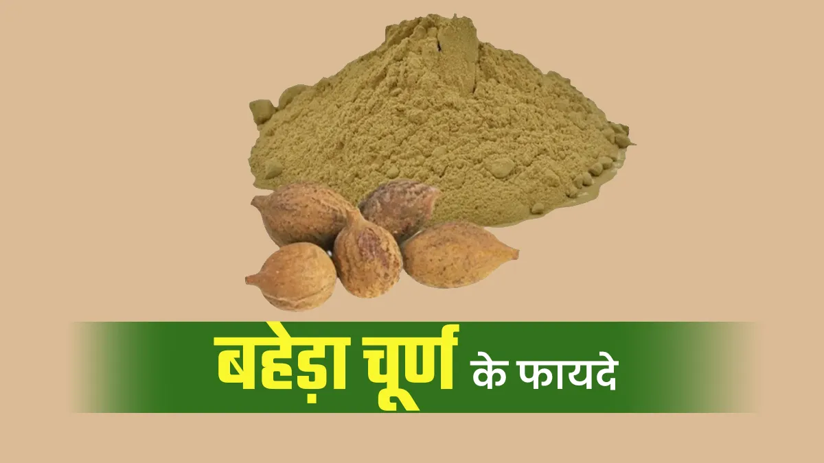 बहेड़ा चूर्ण: इम्यूनिटी बढ़ाने से लेकर पाचन ठीक रखने तक जानें इसके फायदे