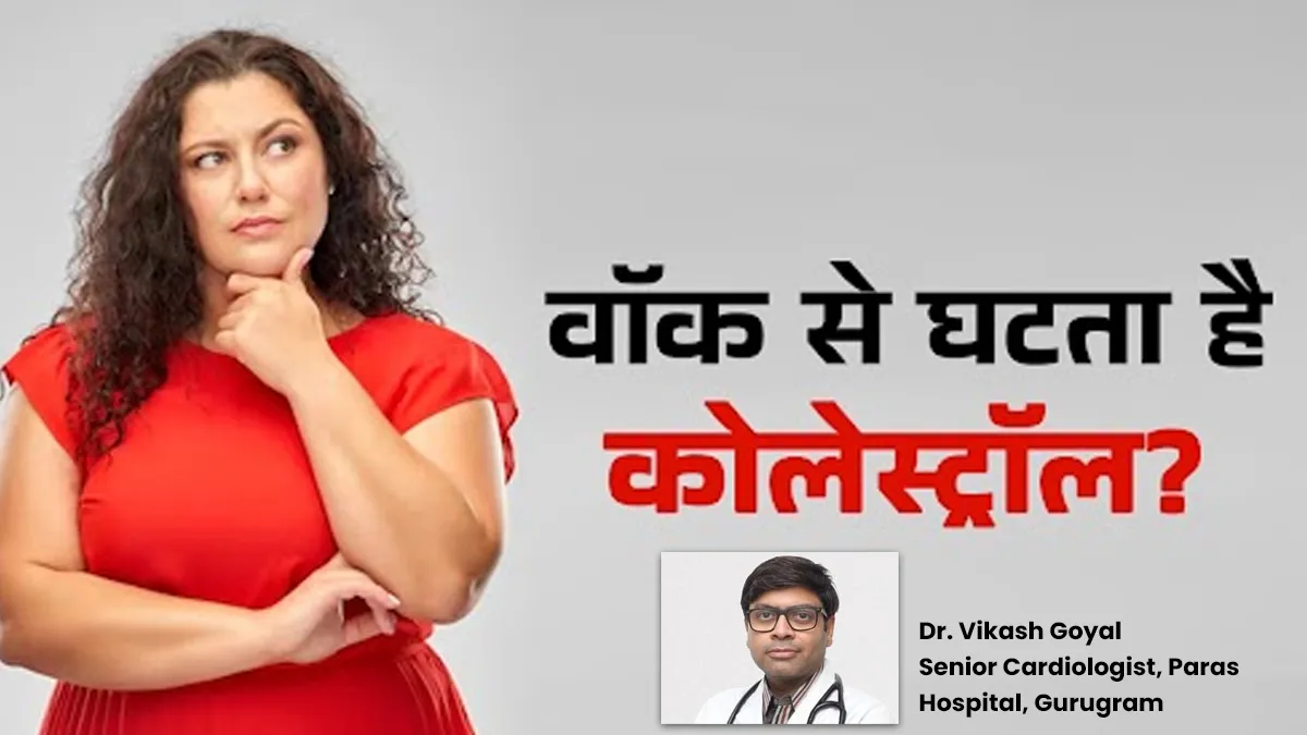 क्या खाने के बाद टहलना वाकई घटाता है कोलेस्ट्रॉल? जानें डॉक्टर की राय