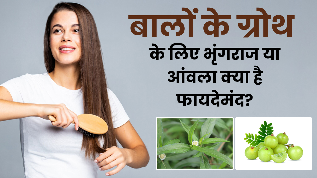बालों को तेजी से बढ़ाने के लिए आंवला या भृंगराज क्या है फायदेमंद? आयुर्वेदिक डॉक्टर से जानें