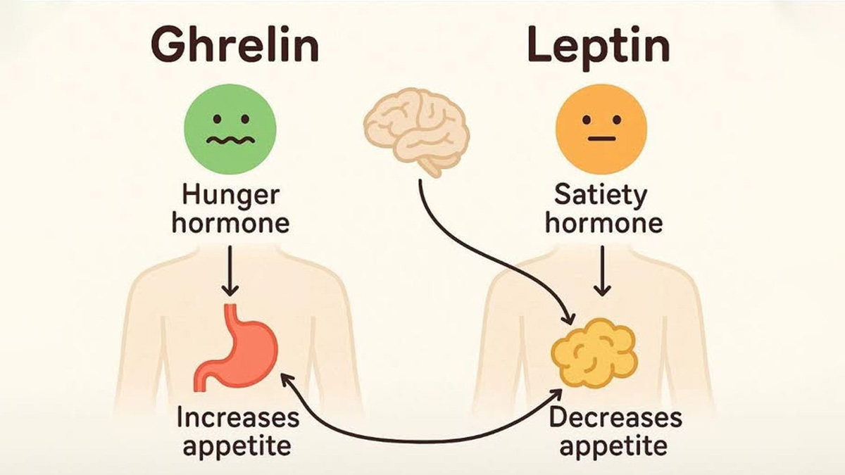 how-to-control-hunger-hormone-ghrelin