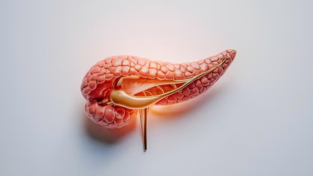 what are signs that your pancreas is not working properly in hindi 001