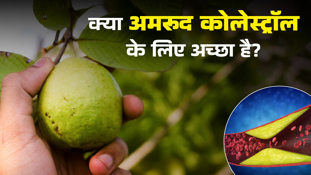 क्या अमरूद कोलेस्ट्रॉल के लिए अच्छा है? एक्सपर्ट से जानें