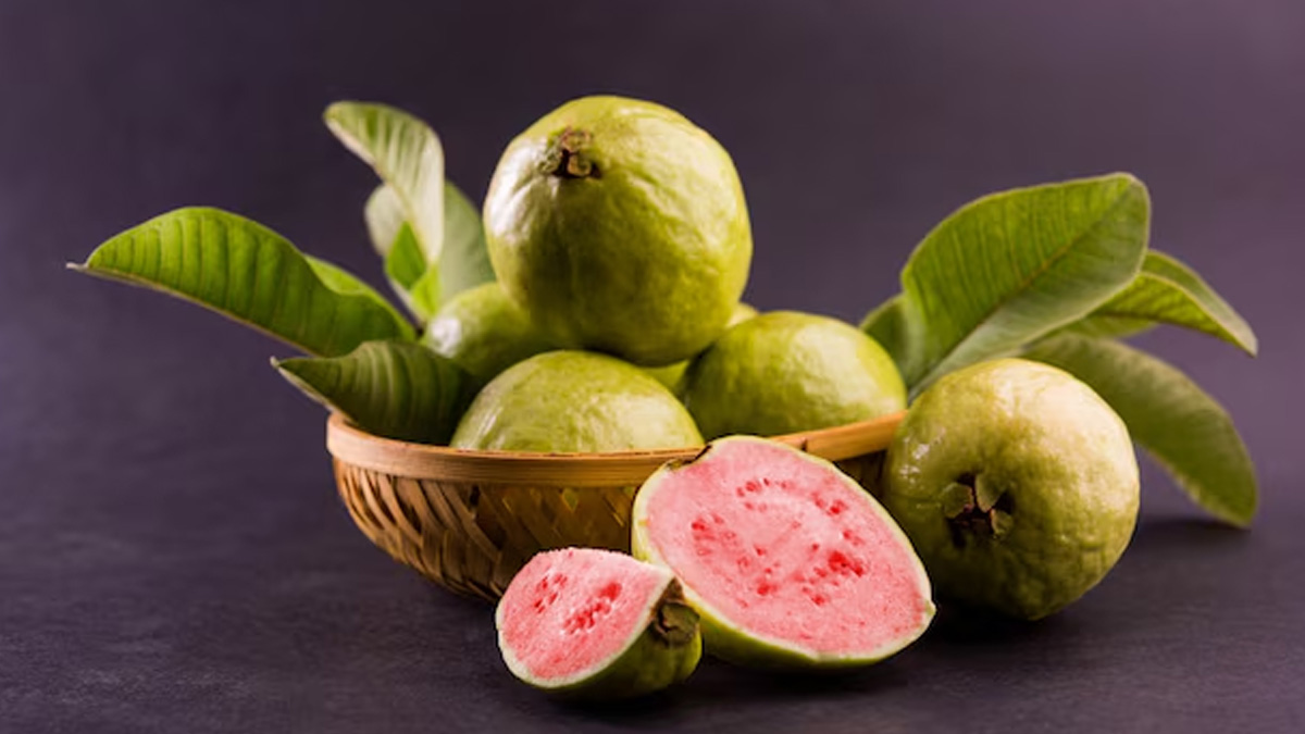 is guava good for cholesterol in hindi 1