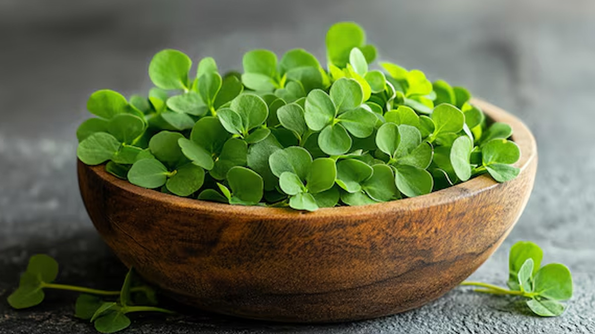 brahmi vs shankhpushpi