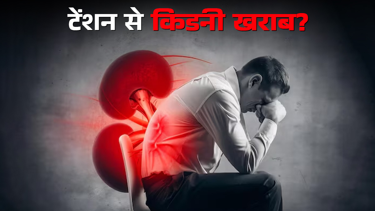 बार-बार टेंशन लेने से क्या किडनी हो जाती है कमजोर? डॉक्टर से जानें