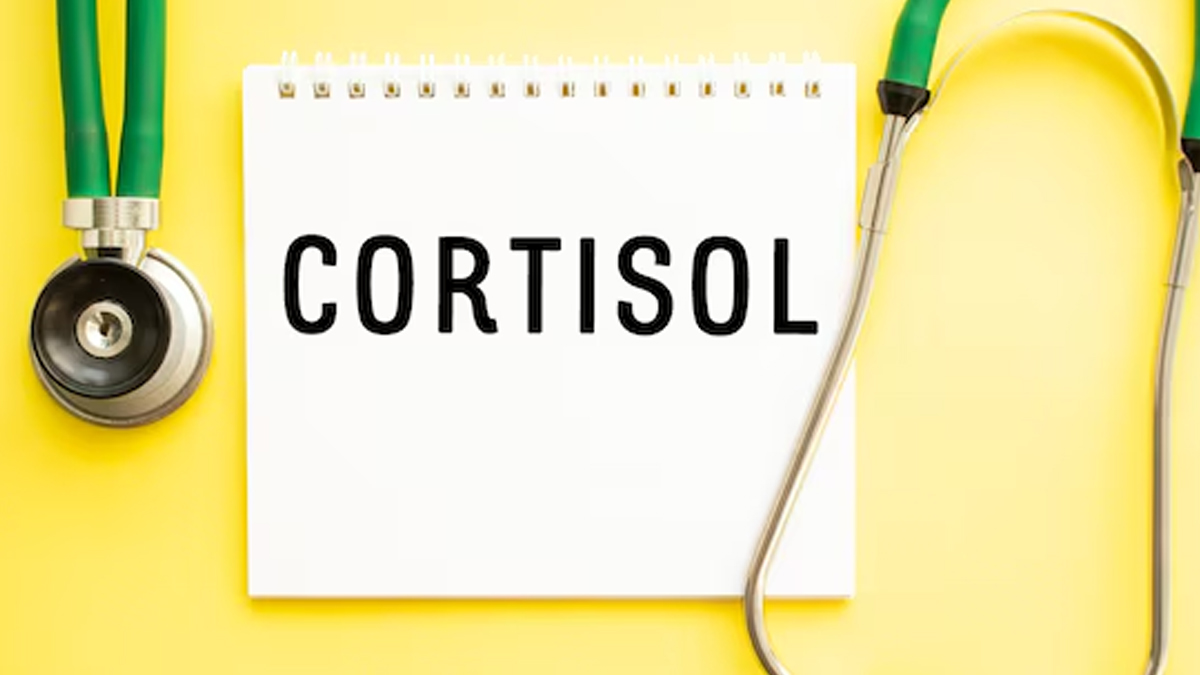 does-high-cortisol-cause-weight-gain