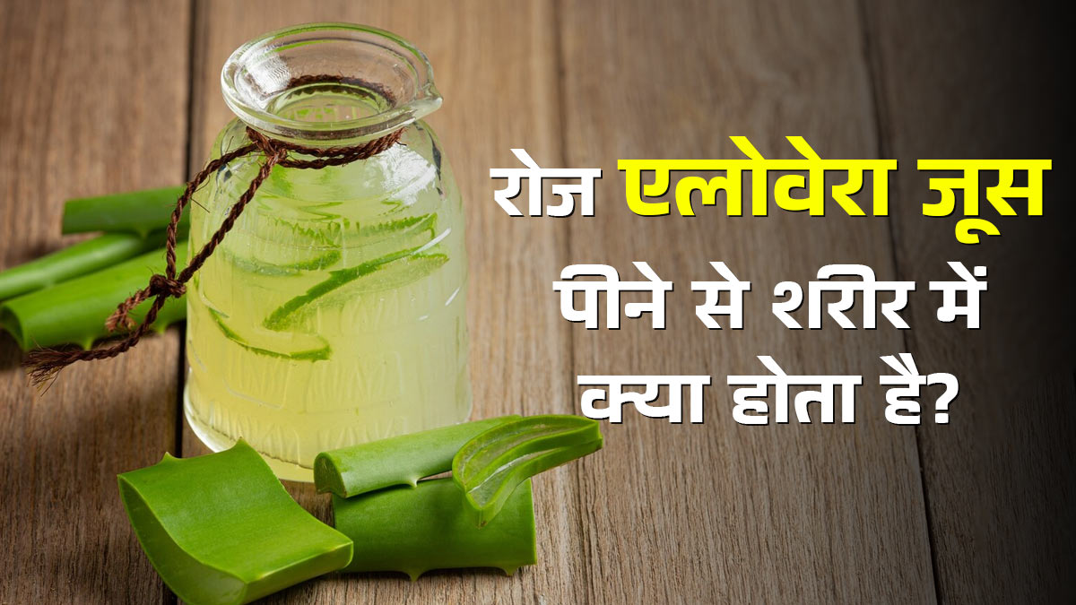 रोज एलोवेरा जूस पीने से शरीर में क्या होता है? जानें आयुर्वेद के अनुसार फायदे और सावधानियां
