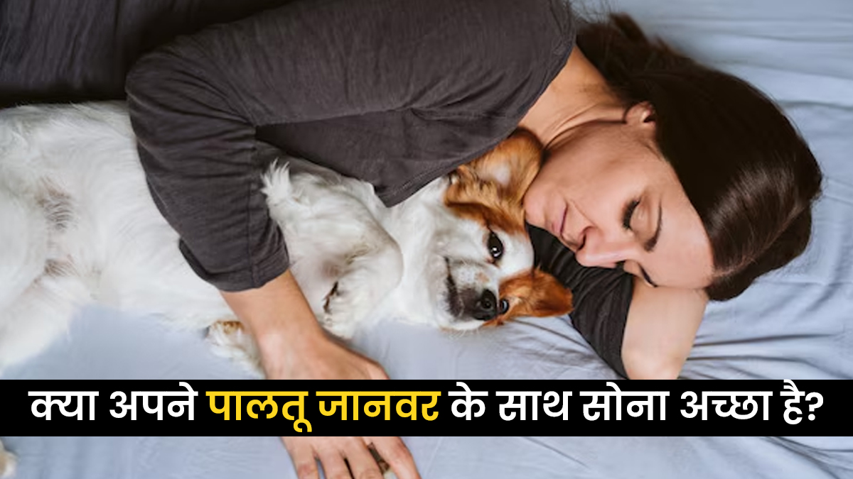 क्या अपने पालतू जानवर को अपने साथ सोने देना अच्छा है? डॉक्टर से जानें