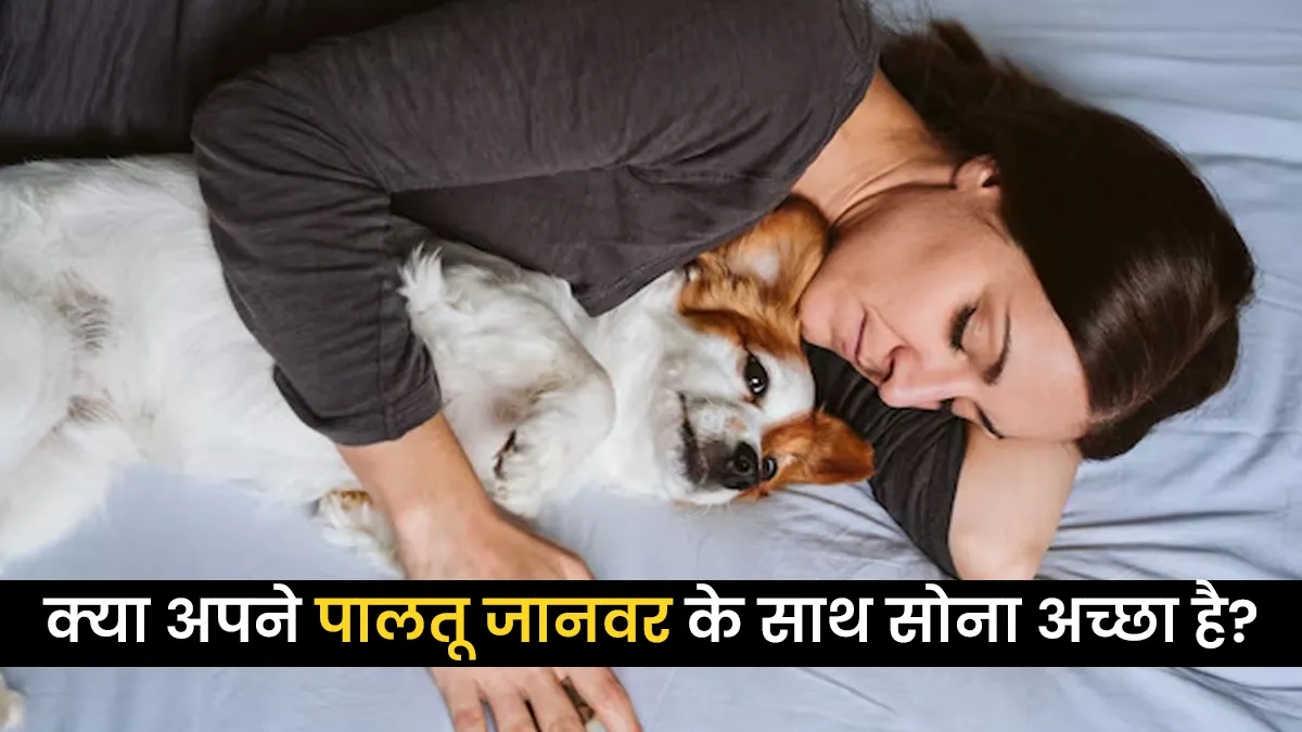 क्या अपने पालतू जानवर को अपने साथ सोने देना अच्छा है? डॉक्टर से जानें