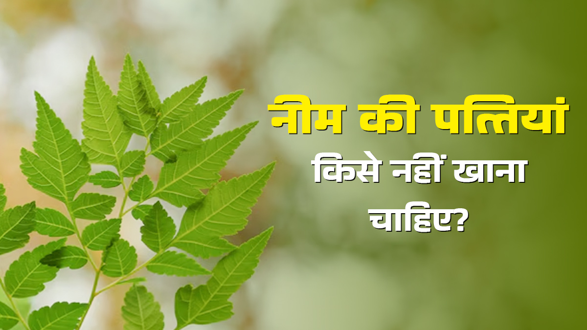किन लोगों को नीम की पत्तियां खाने से बचना चाहिए? जानें डॉक्टर से