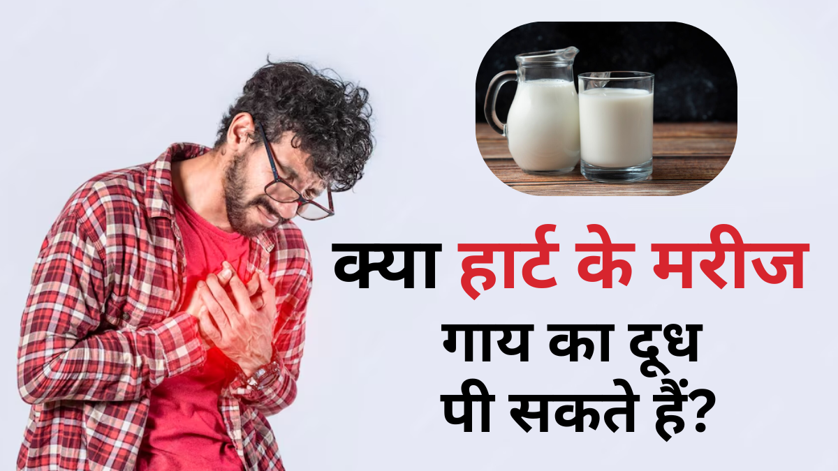 क्या हार्ट के मरीज के लिए गाय का दूध पीना फायदेमंद होता है? एक्सपर्ट से जानें