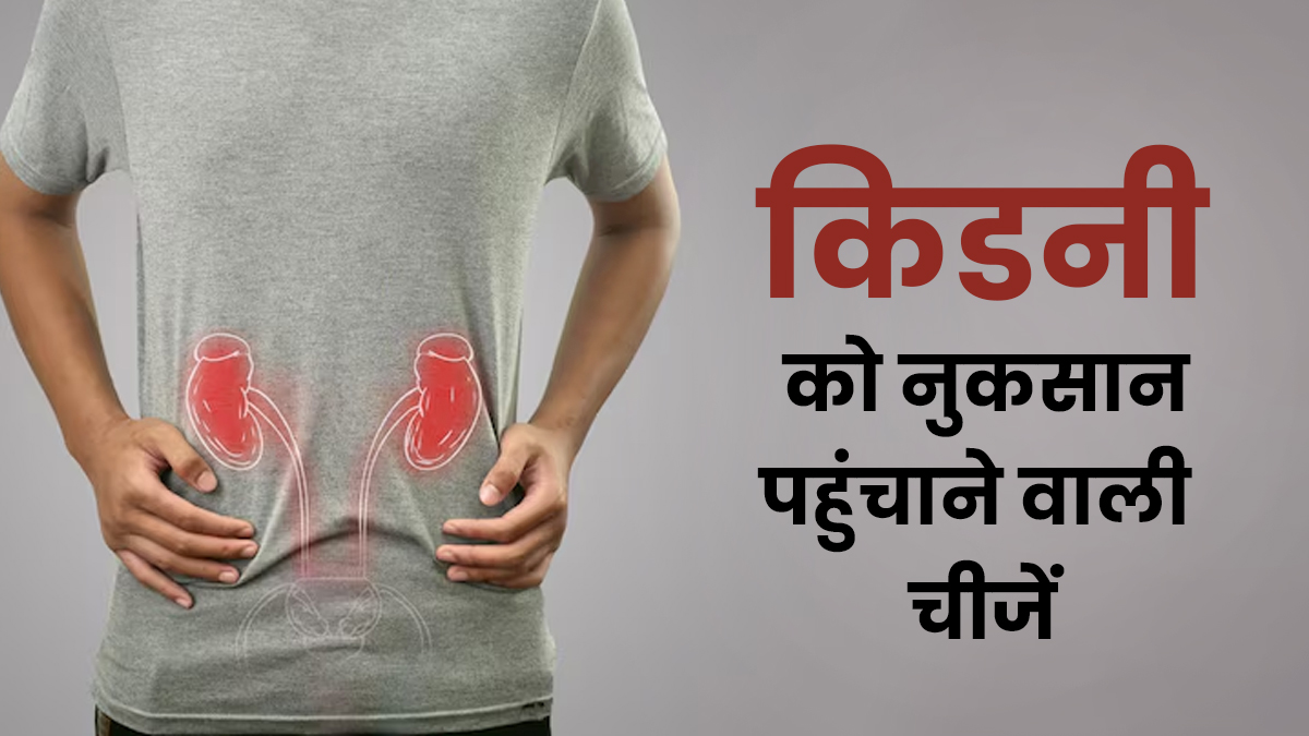 किडनी को सबसे ज्यादा नुकसान किस चीज से होता है? डॉक्टर ने बताया