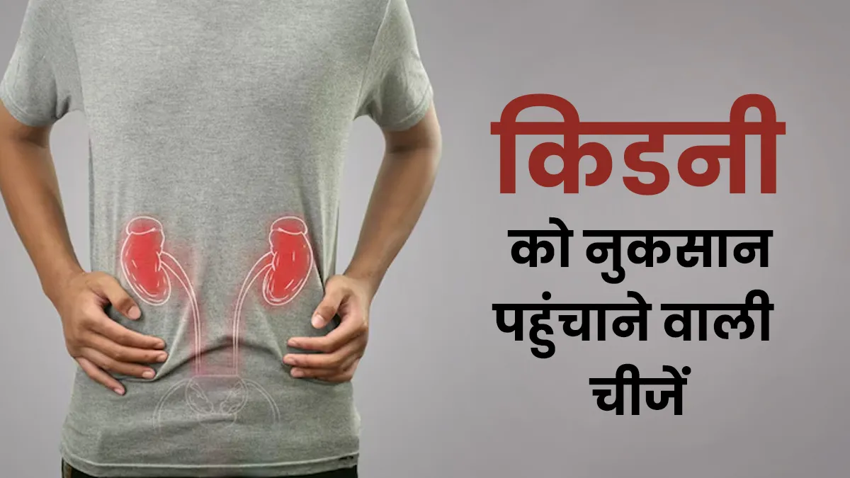 किडनी को सबसे ज्यादा नुकसान किस चीज से होता है? डॉक्टर ने बताया