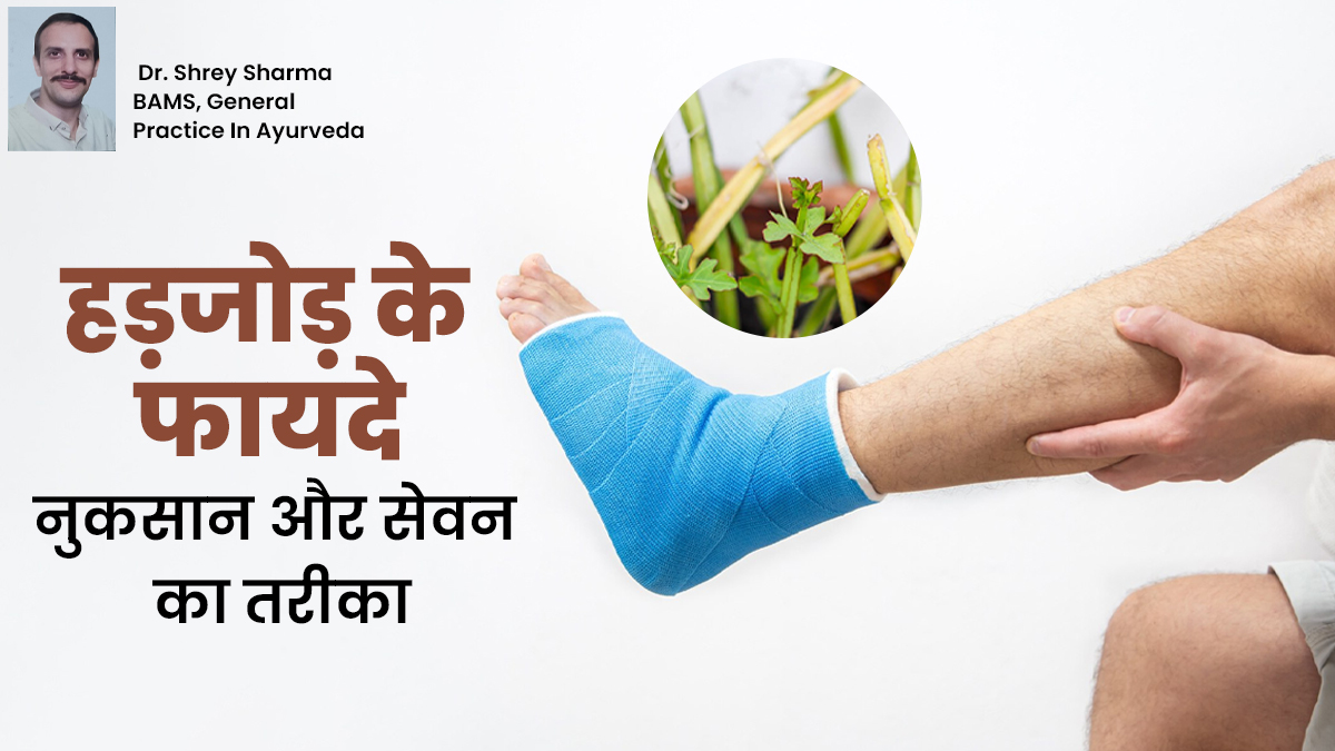 फ्रैक्चर जल्दी ठीक करने में फायदेमंद है हड़जोड़, जानें इसके फायदे, नुकसान और सेवन का तरीका