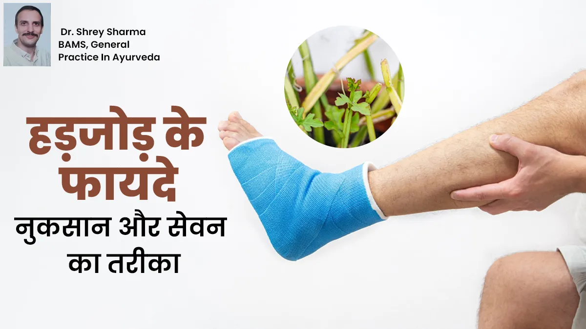 फ्रैक्चर जल्दी ठीक करने में फायदेमंद है हड़जोड़, जानें इसके फायदे, नुकसान और सेवन का तरीका
