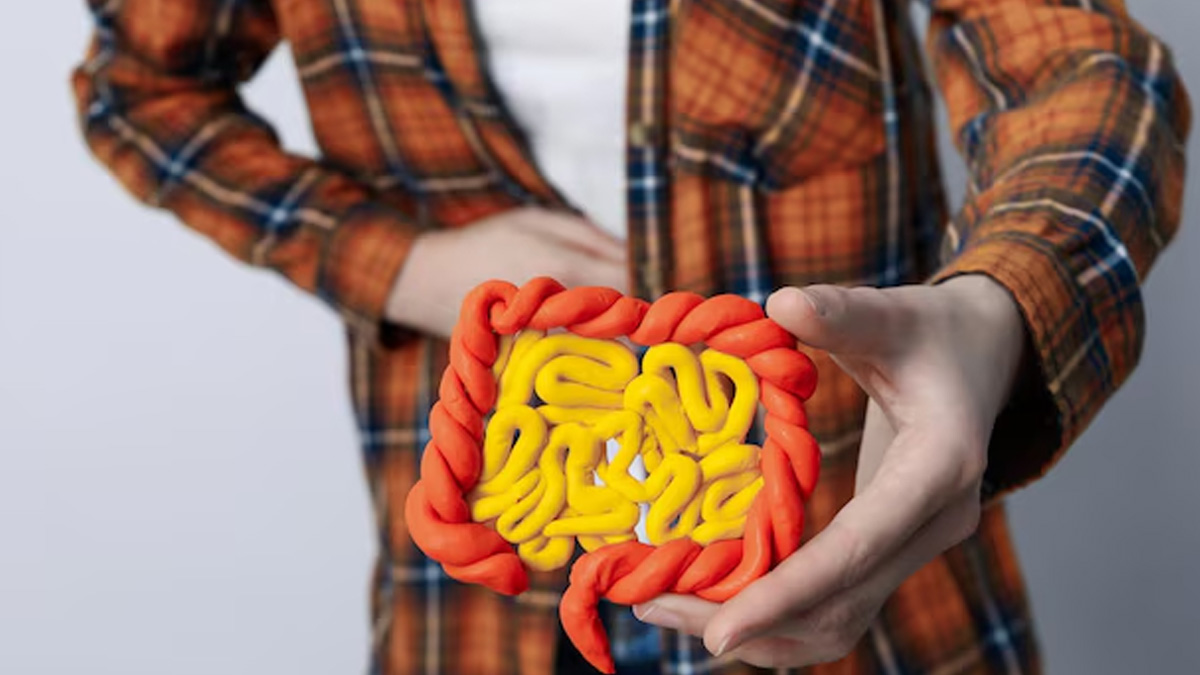 what is a parasite cleanse and is it safe in hindi 1