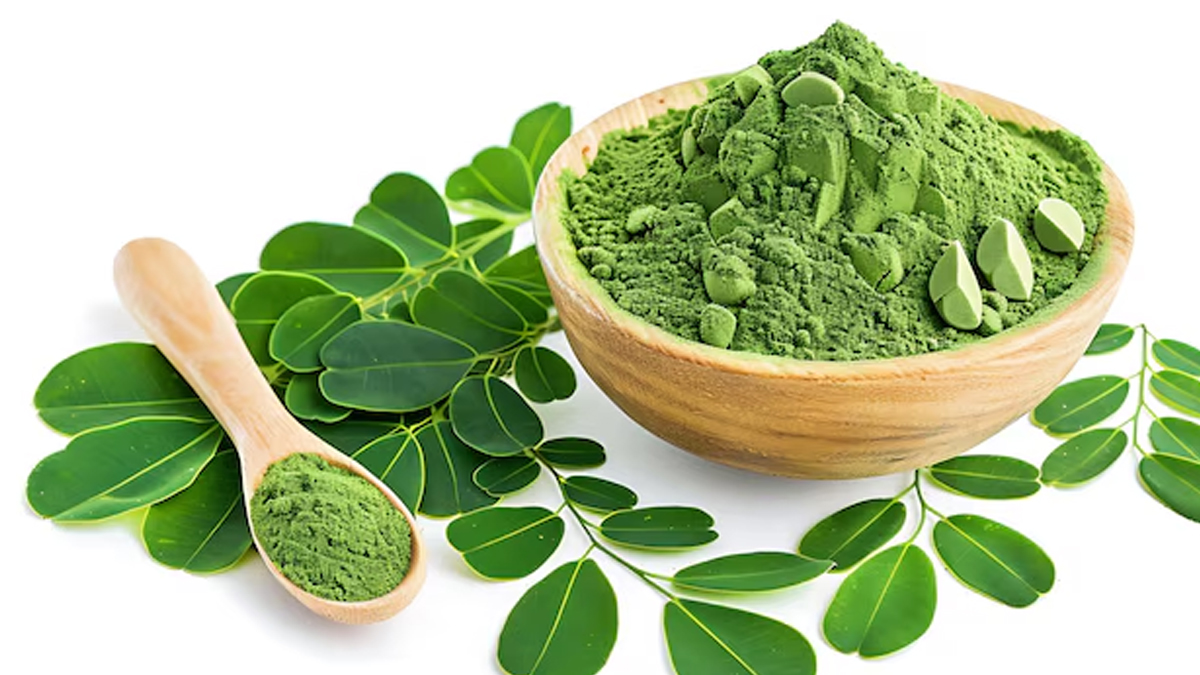 moringa powder or juice which one better for health in hindi 1