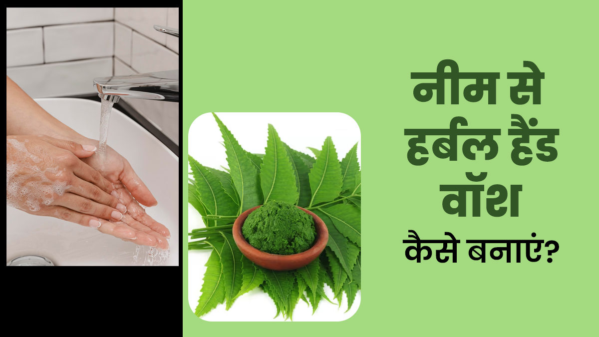 हाइजीन का ध्यान रखने के लिए घर पर नीम से बनाएं ये हर्बल हैंड वॉश, किटाणुओं का होगा नाश