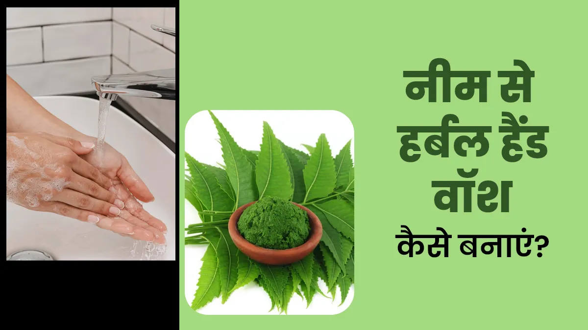 हाइजीन का ध्यान रखने के लिए घर पर नीम से बनाएं ये हर्बल हैंड वॉश, किटाणुओं का होगा नाश